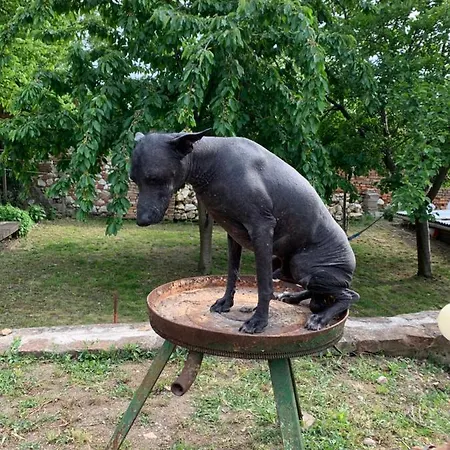 Sebastian Pensjonat Mikulov