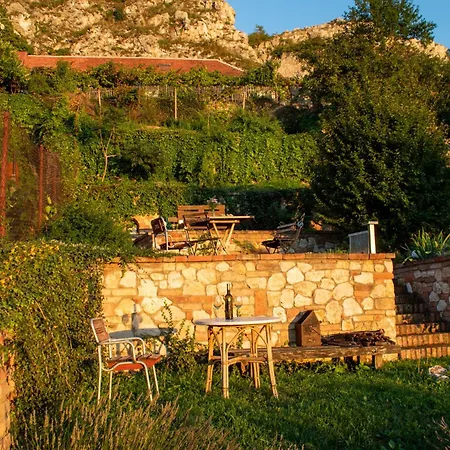 Sebastian A Vinny Bar Proste Sklep מיקולוב