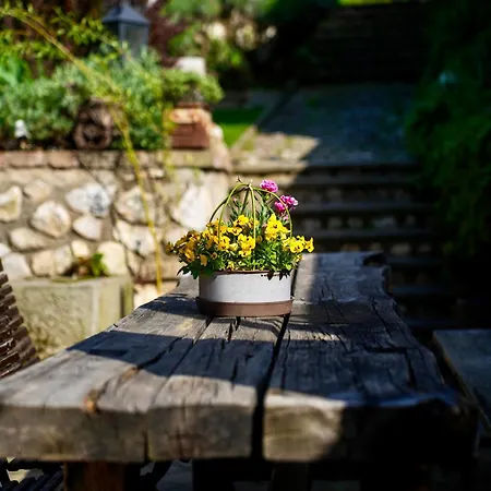 Sebastian A Vinny Bar Proste Sklep Pensionat 3*