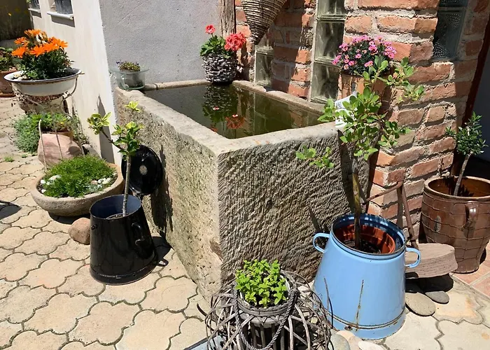 Sebastian A Vinny Bar Proste Sklep Guest house